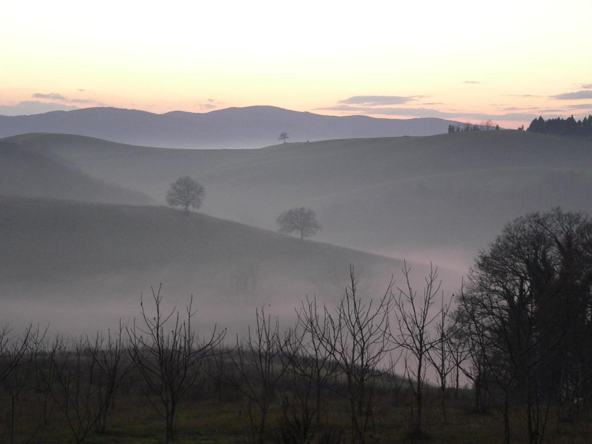 Podere Sant'Antonio بونكونفينتو المظهر الخارجي الصورة