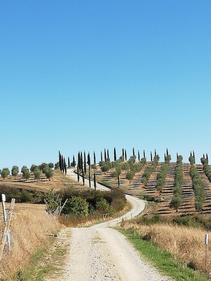 Podere Sant'Antonio بونكونفينتو المظهر الخارجي الصورة