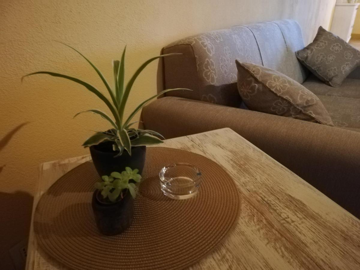 Podere Sant'Antonio بونكونفينتو المظهر الخارجي الصورة