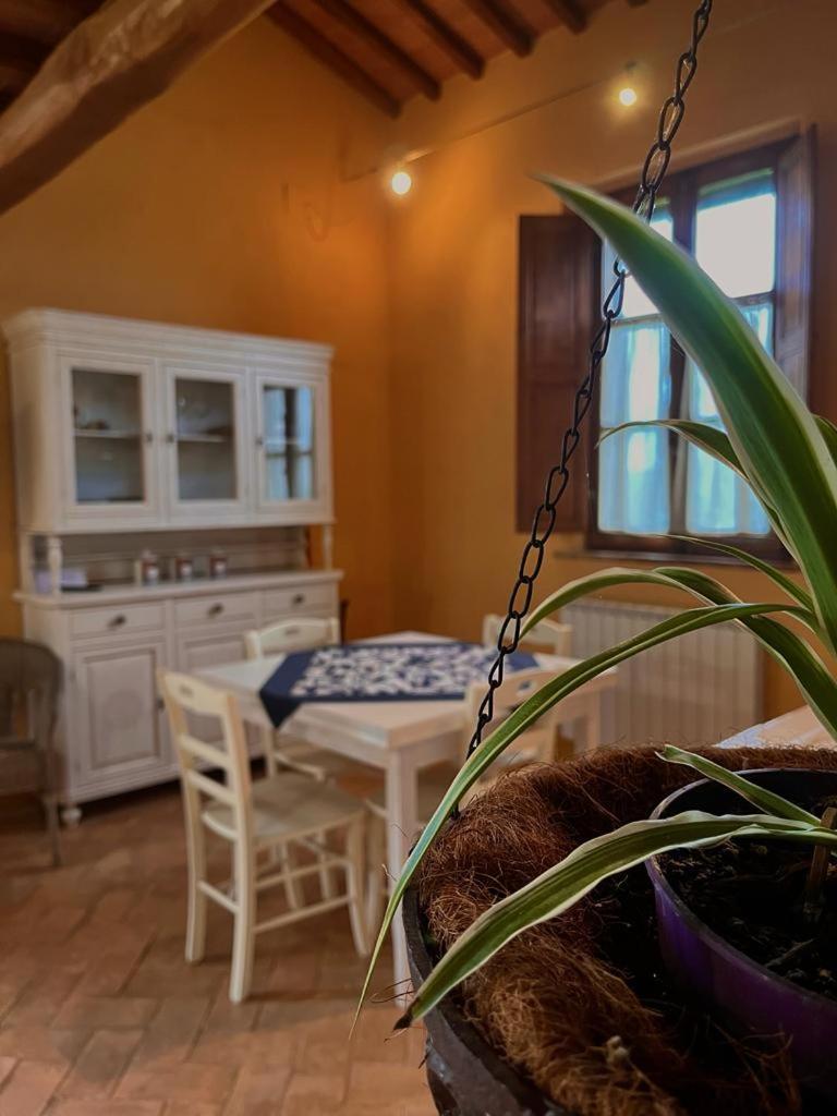 Podere Sant'Antonio بونكونفينتو المظهر الخارجي الصورة